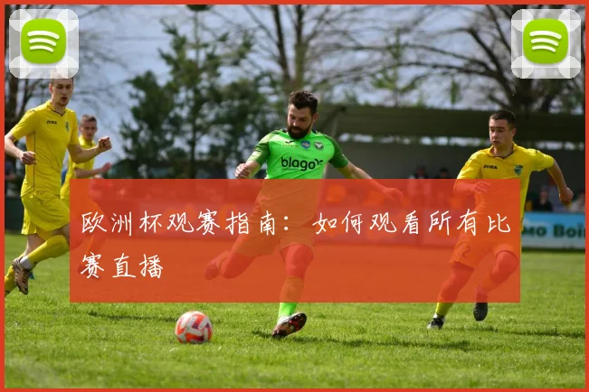 欧洲杯观赛指南：如何观看所有比赛直播