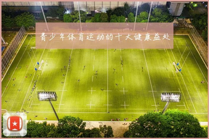 青少年体育运动的十大健康益处